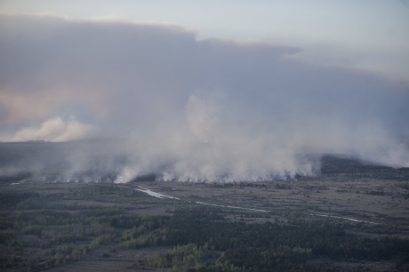 Chernobyl forest fires - April 2015 - 460 Chernobyl forest fires - April 2015 - 460
